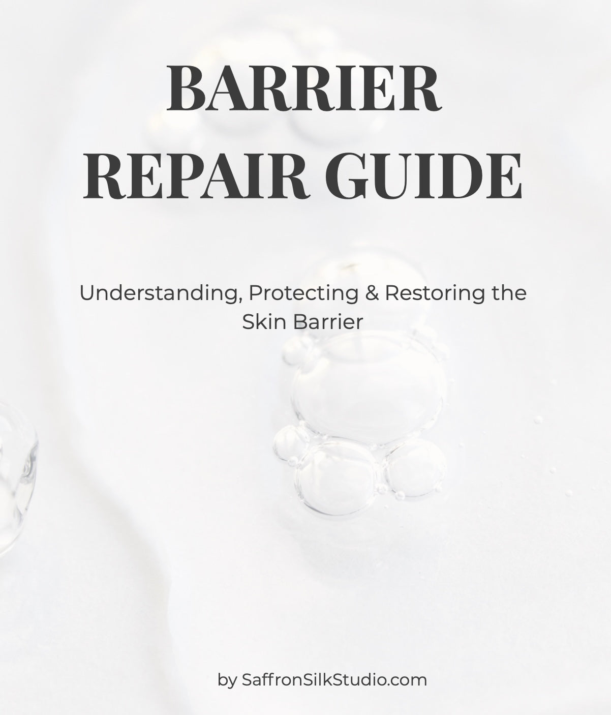 Barrier repair guide
